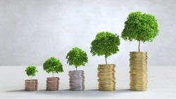 В минэкономразвития Сахалинской области за 2024 год рассмотрели 17 инвестиционных проектов