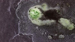 Суд запретил сбрасывать нечистоты в залив Анива 