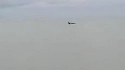 «Не все такое могут увидеть»: на Сахалине заметили косаток у берега