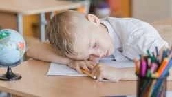 Советский экзамен для «жертв ЕГЭ»: вспомните, чему учили в СССР?