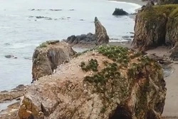 Песня Сумишевского и веселые сивучи: сахалинский блогер снял потрясающий ролик про родной остров