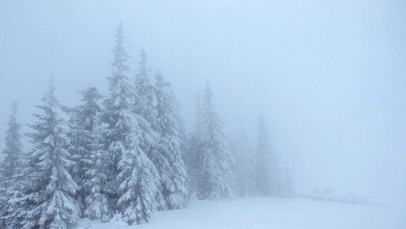 Аварийные службы на Сахалине привели в режим повышенной готовности из-за циклона