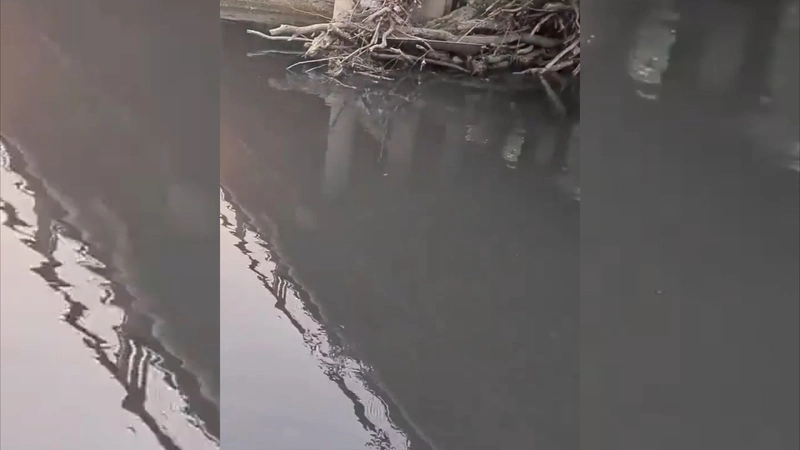 В Южно-Сахалинске реку с рыбой залили нечистотами. Экологи бьют тревогу