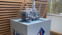 В краеведческом музее Южно-Сахалинска откроется нефтегазовая выставка