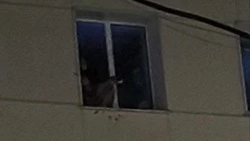 Женщина с порезами на руках пугала соседей с подоконника в Корсакове