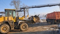 Несанкционированные свалки в Южно-Сахалинске ликвидируют до конца года
