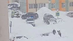 Сахалинскому тиктокеру грозит 15 суток за прыжки в сугроб