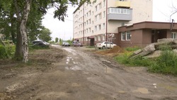 Жители планировочного района Ново-Александровска негодуют из-за грязи вместо дороги
