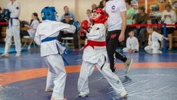 Чемпионов по всестилевому карате определили в Южно-Сахалинске