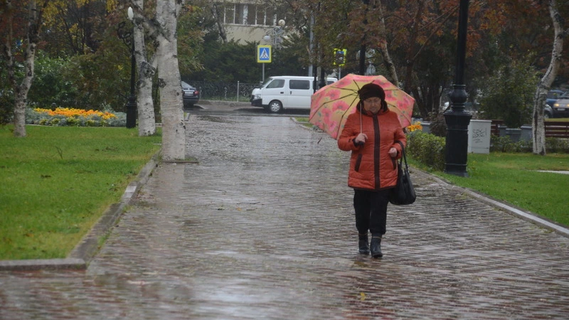 Снег из Японии испортит первые майские выходные сахалинцам