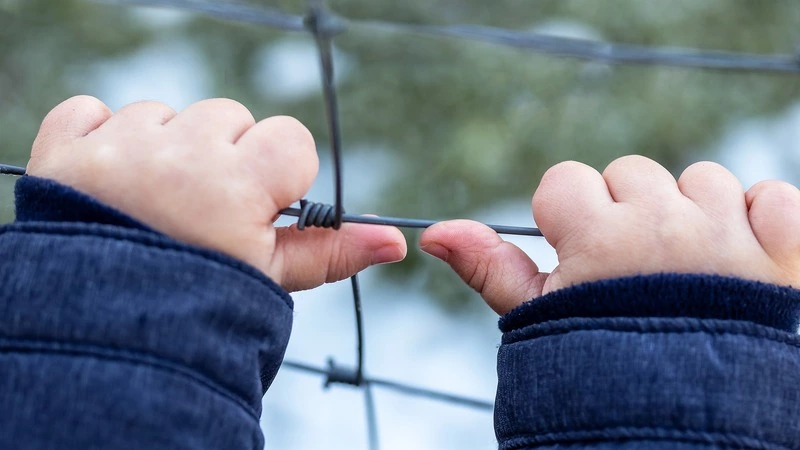 На Сахалине школьники угнали мопед у пенсионерки