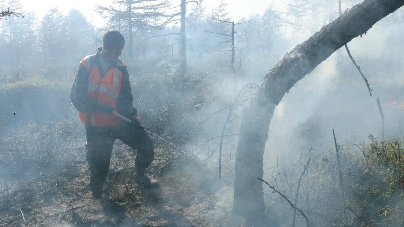 Чиновники Дальнего Востока провалили подготовку к пожароопасному сезону и паводкам