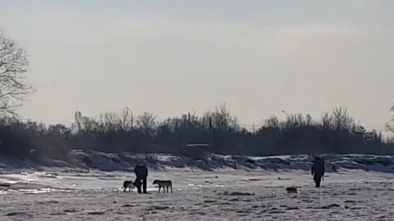 Сахалинский рыбак на озере Изменчивом принялся собирать мусор вместо улова