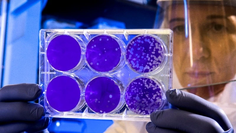 Роспотребнадзор зарегистрировал рост заболеваемости COVID-19 на Сахалине