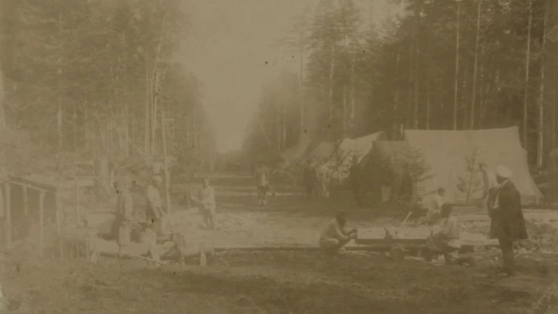 Сахалин после каторги: как остров пережил отмену ссылки и почему это привело к упадку