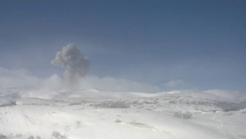 Вулкан Эбеко выбросил пепел на высоту 2,5 километра