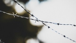 Тюремный срок грозит жительнице Южно-Курильского района за избиение сотрудника ГИБДД