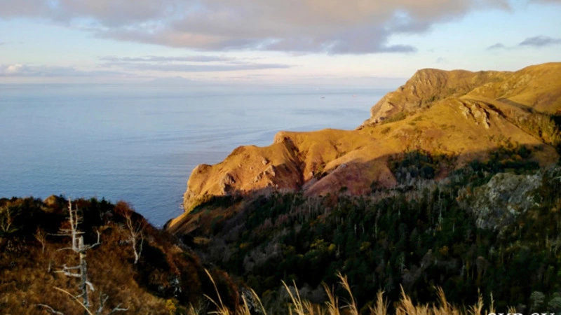 Японцы вышли на митинги с требованием к властям вернуть Курильские острова