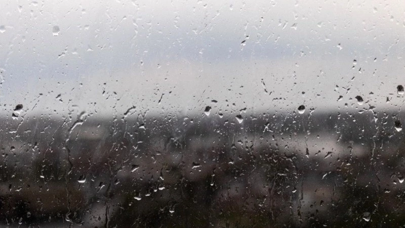 Дождливо и пасмурно будет в Южно-Сахалинске 25 августа