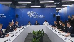 Владимир Путин: «Уровень газификации в России к 2030 году должен приблизиться к 85%»  