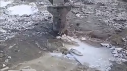 «Лед тронулся»: рыболовный сезон на Найбе в 2025 году подошел к концу