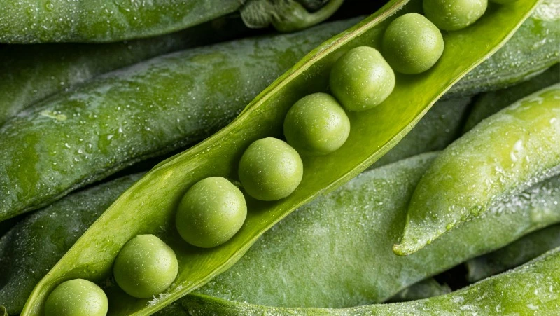 Церковный праздник 13 июня 2025: что нельзя делать в этот день, приметы