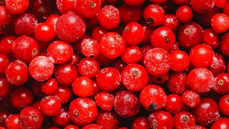 Красника или клоповка: уникальная ягода Сахалина