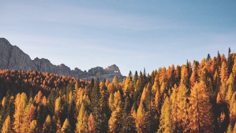 Погода в Южно-Сахалинске 18 октября