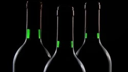 163 литра контрабандного алкоголя привезли на Курилы из Японии