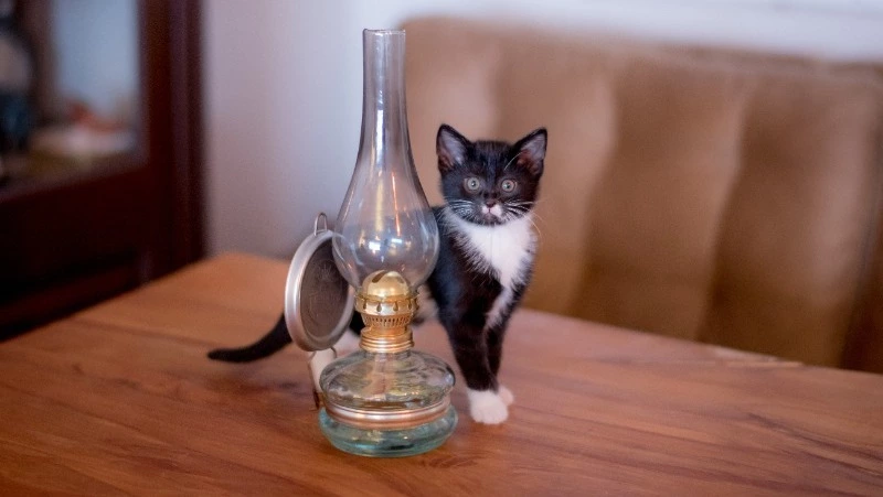 Часть Южно-Сахалинска останется без света 19 февраля