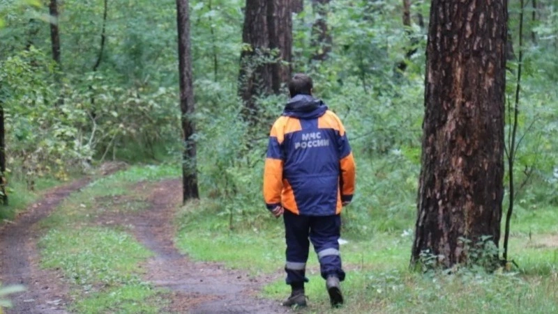 Спасатели нашли группу заблудившихся на Курилах туристов