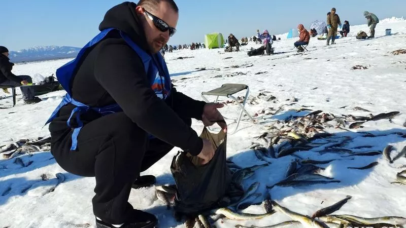 Не нужную рыбакам навагу раздали сахалинцам