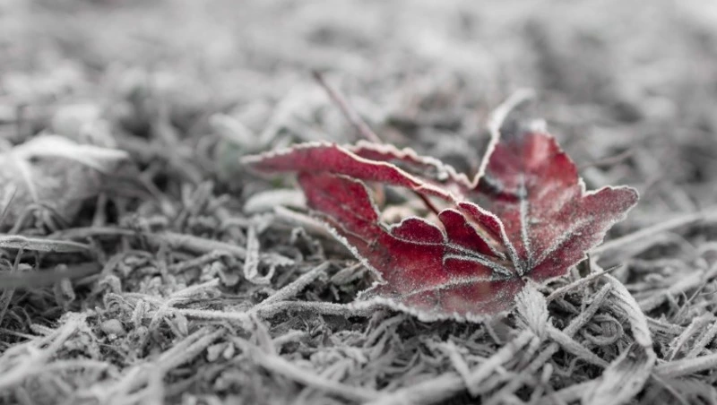 Церковный праздник 29 октября 2024: что нельзя делать в этот день, приметы