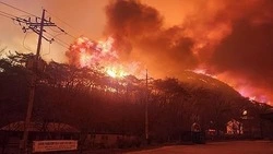 Погибло 28 человек, еще 32 — ранены: Южная Корея переживает крупнейшие лесные пожары в своей истории