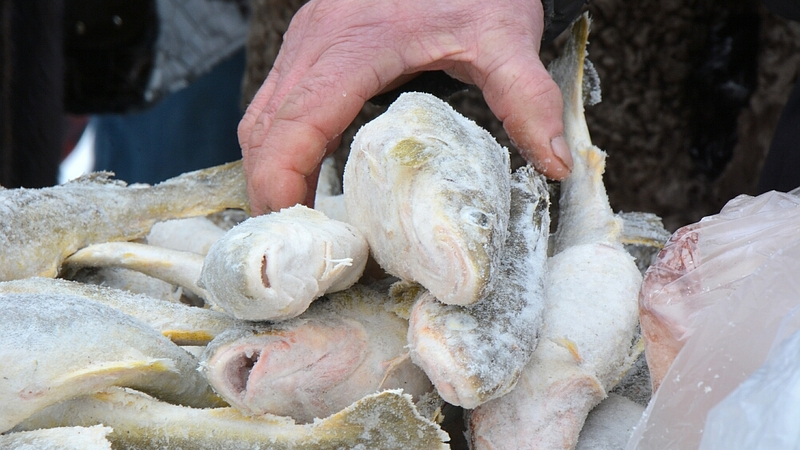 Скупщиками браконьерской рыбы займется сахалинская полиция