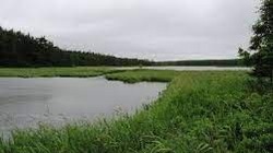 Сахалинские депутаты встали на защиту озера Хвалисекое