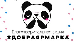 СахГУ проведет благотворительную ярмарку в Южно-Сахалинске в помощь детям с ОВЗ