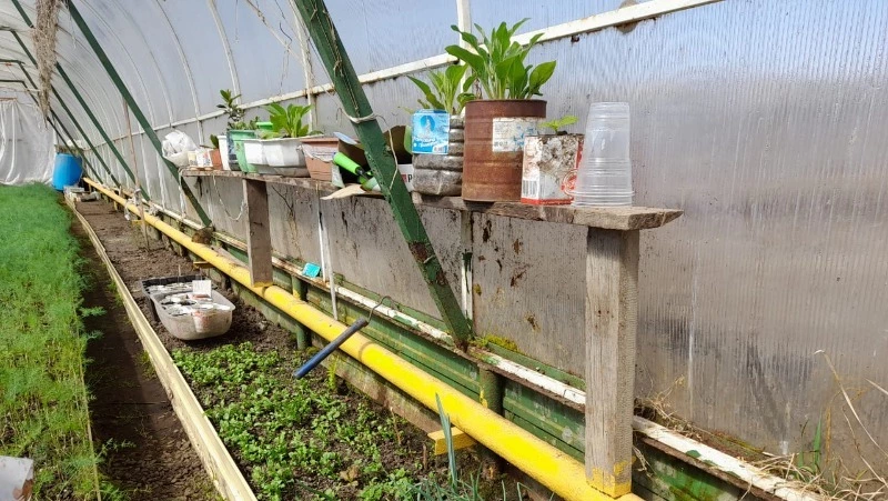 На Шикотане готовы к импортозамещению. Местные производители наращивают объемы