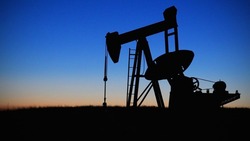 Добыча нефти в России может снизиться в апреле 2022 года