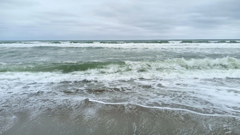 Переправу Ванино – Холмск могут закрыть из-за предстоящего снежного циклона