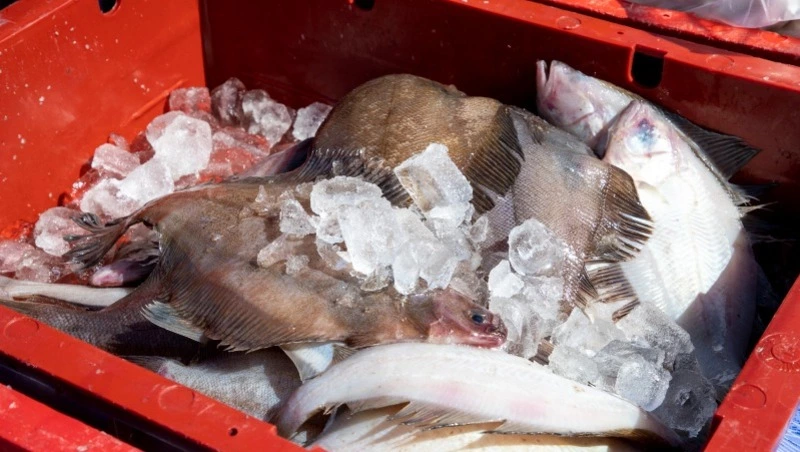Рыбу по 100 рублей за килограмм привезли в Южно-Сахалинск утром 29 июня