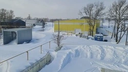 Птицефабрика «Островная» на Сахалине круглосуточно устраняет последствия метели 