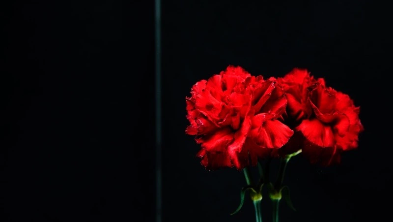 День памяти жертв геноцида советского народа появится в России в 2026 году