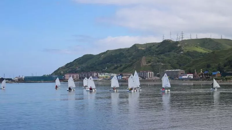 На Сахалине прошла регата, посвященная Дню сивуча