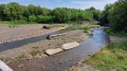 Экологи обследовали нерестовую реку, цвет которой вызвал опасения у сахалинцев
