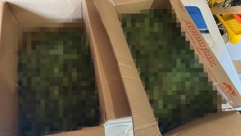 Сахалинец предстанет перед судом за хранение пяти килограммов марихуаны