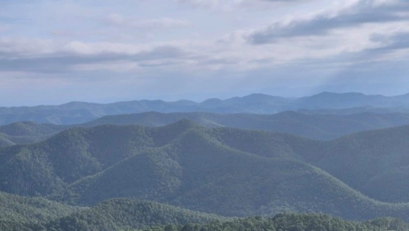 Дожди и жару спрогнозировали синоптики в Сахалинской области 27 июля