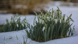 Временами небольшие осадки и до +5 градусов: погода в Южно-Сахалинске 28 апреля