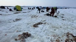 Сахалинские рыбаки активно тренируются в подледном лове на Найбе