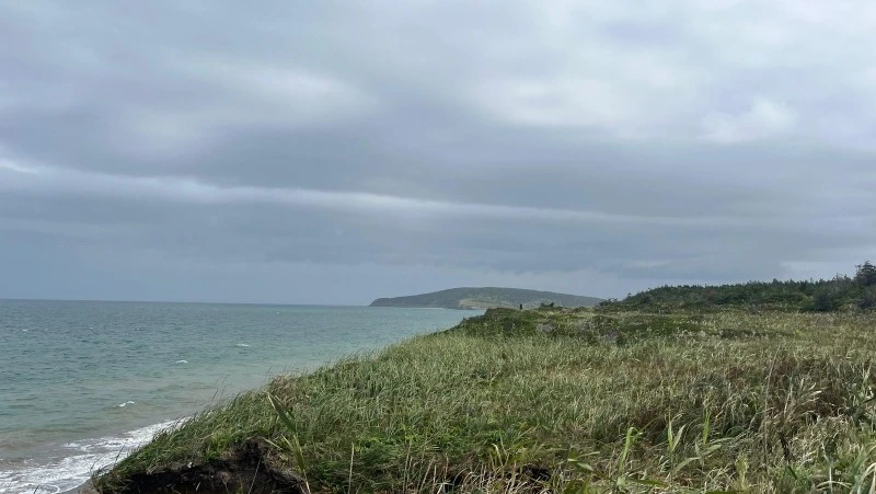 Сильный дождь придет на юг Сахалина и Курил 2 октября